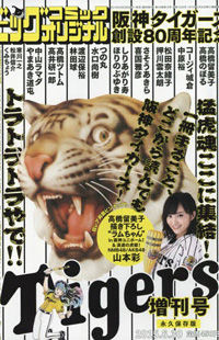 Hanshin Tigers Sousetsu 80 Shuunen Kinen Zoukan